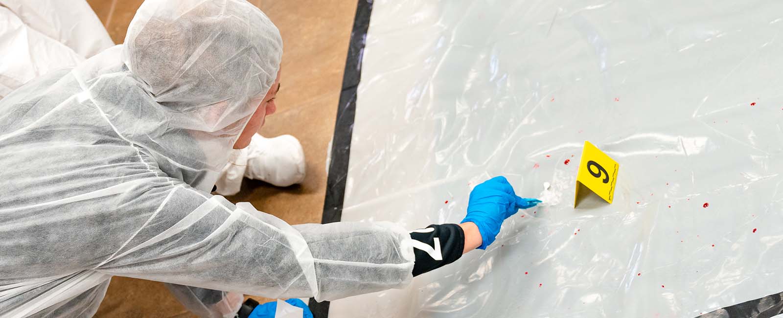 Bachelor of Science in Forensic Psychology degree