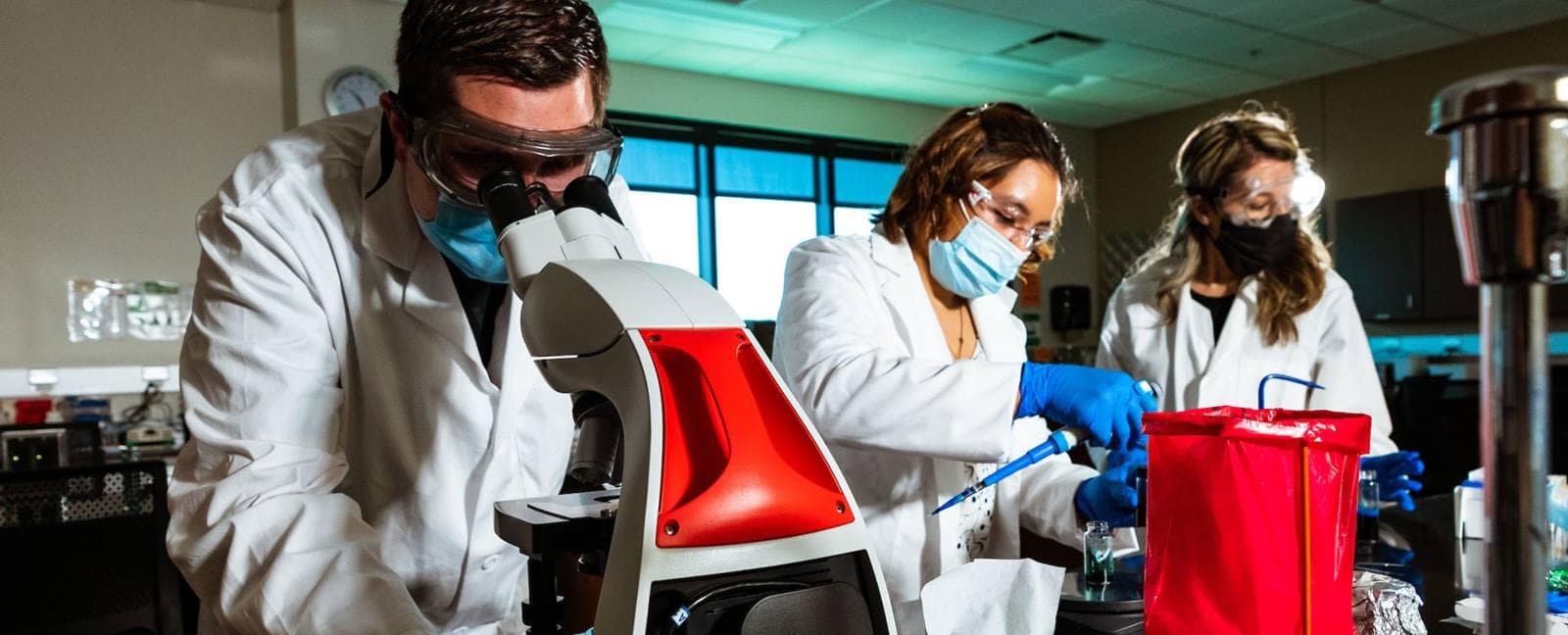 Students using lab equipment for Applied Biology